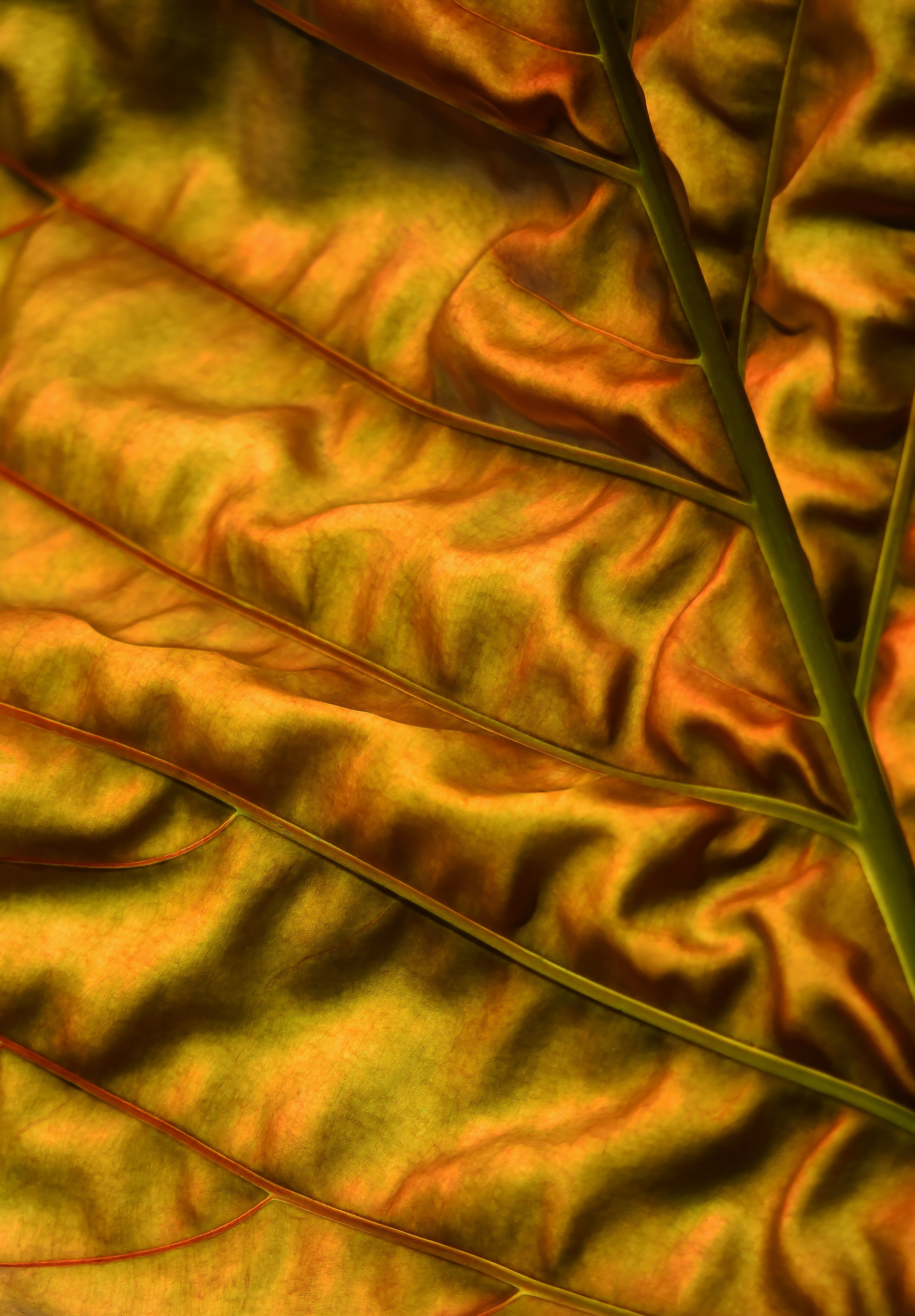 golden textile